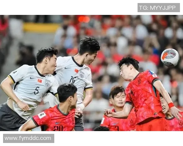 武汉排球队在世界杯赛场上的力量与韧性展现分析